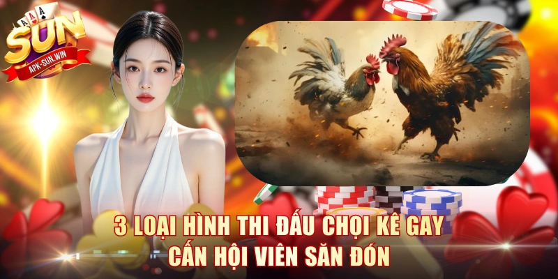 Đá Gà Campuchia - Luật Chọi Kê Và 3 Cửa Cược Tại Sun Win 3 3 loại hình thi đấu chọi kê gay cấn hội viên săn đón