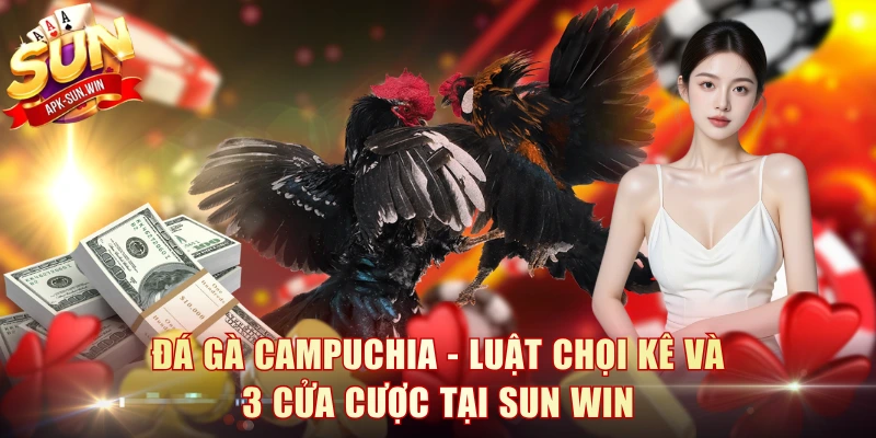 Đá Gà Campuchia - Luật Chọi Kê Và 3 Cửa Cược Tại Sun Win 1 Đá Gà Campuchia