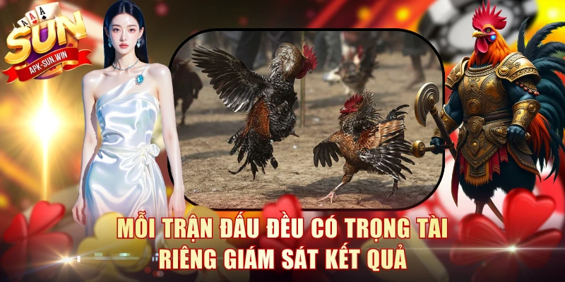 Đá Gà Campuchia - Luật Chọi Kê Và 3 Cửa Cược Tại Sun Win 4 Mỗi trận đấu đều có trọng tài riêng giám sát kết quả