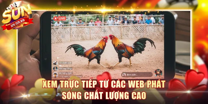 Phát Sóng Đá Gà - Hình Thức Thu Hút Người Xem Và Cược 4 Xem trực tiếp từ các web phát sóng chất lượng cao